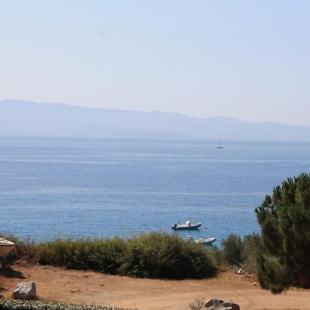 F2 Vue Mer Dans Residence Avec Piscine Ajaccio  Buitenkant foto