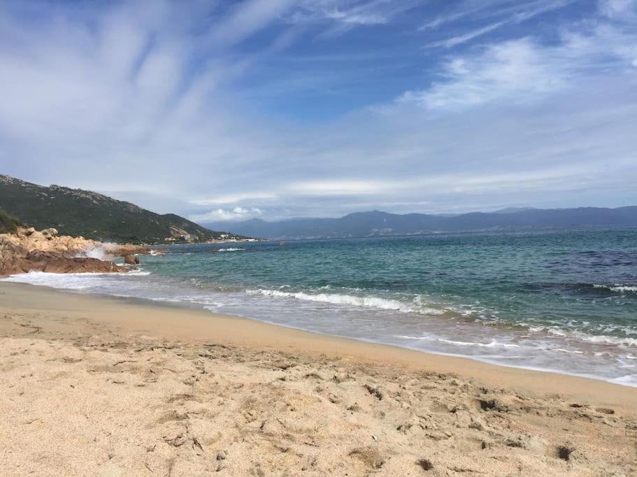 F2 Vue Mer Dans Residence Avec Piscine Ajaccio  Buitenkant foto