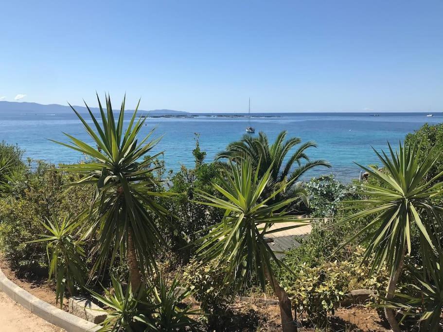 F2 Vue Mer Dans Residence Avec Piscine Ajaccio  Buitenkant foto